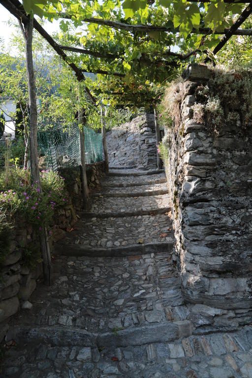 Casa Flora Daire Verdabbio Dış mekan fotoğraf