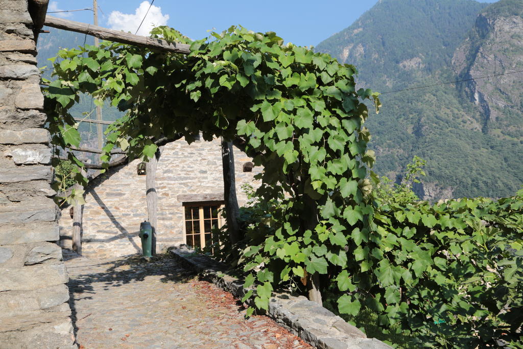 Casa Flora Daire Verdabbio Oda fotoğraf